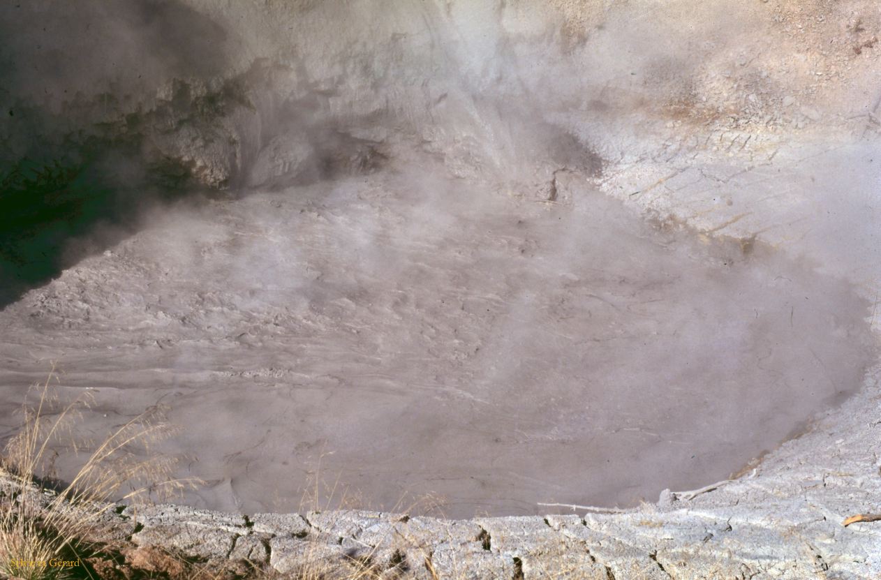 Yellowstone NP Wyoming  USA 1996-059