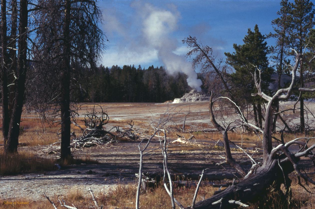 Yellowstone NP Wyoming  USA 1996-062