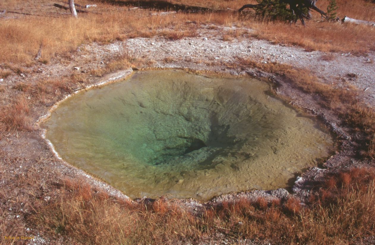 Yellowstone NP Wyoming  USA 1996-067