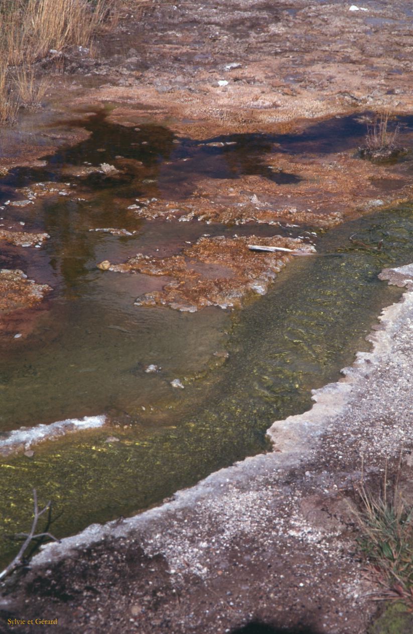 Yellowstone NP Wyoming  USA 1996-068