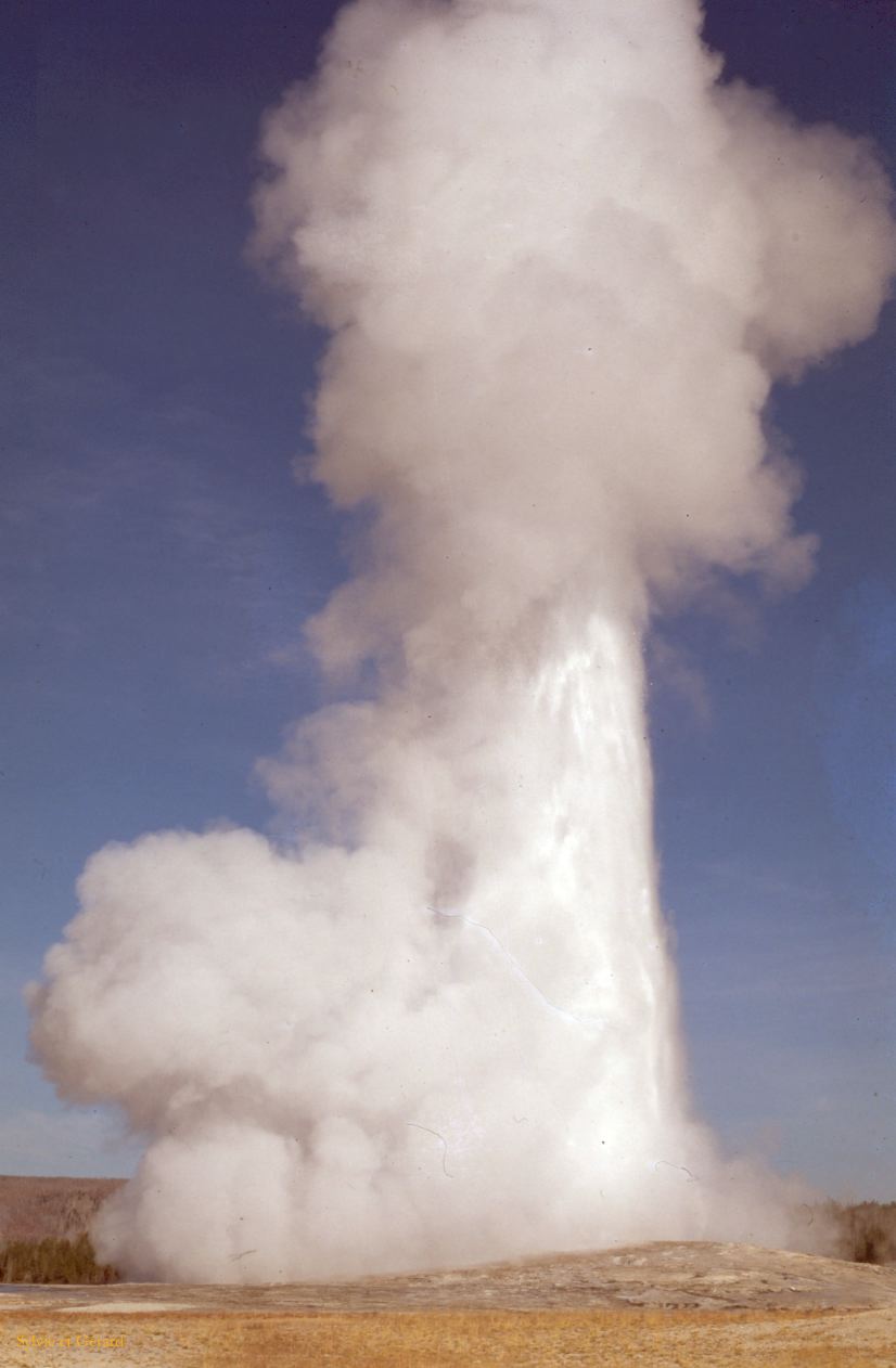 Yellowstone NP Wyoming  USA 1996-073