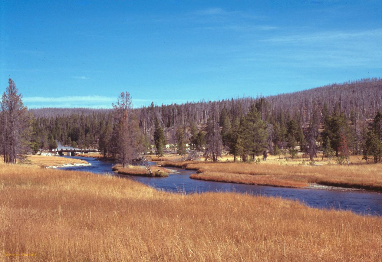 Yellowstone NP Wyoming  USA 1996-076
