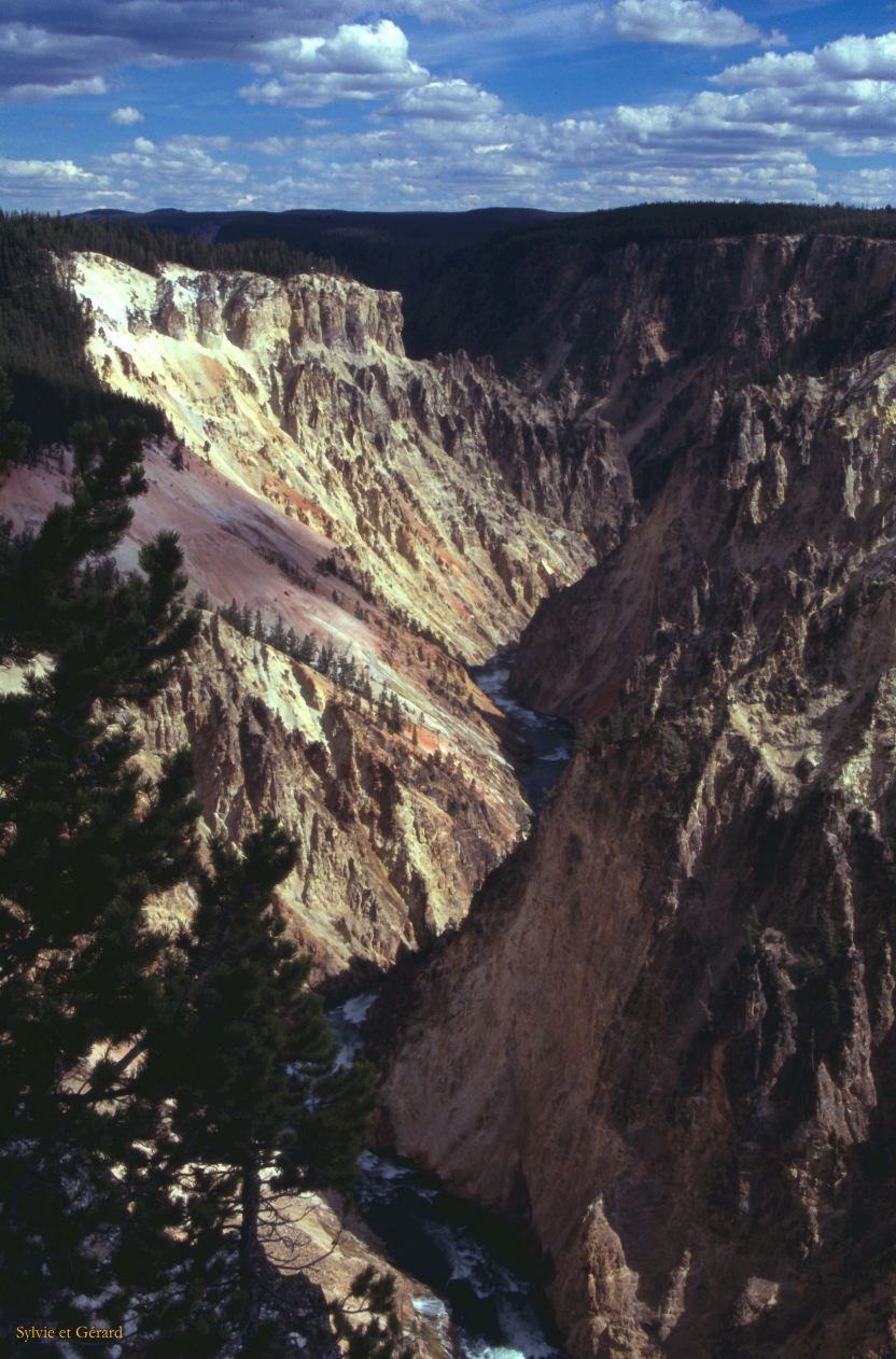 Yellowstone NP Wyoming  USA 1996-086