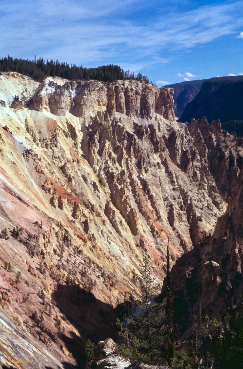 Yellowstone NP Wyoming  USA 1996-087
