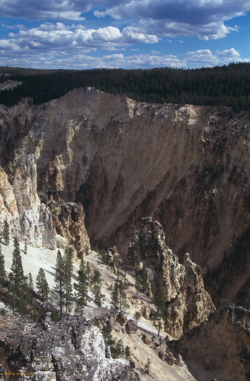 Yellowstone NP Wyoming  USA 1996-088
