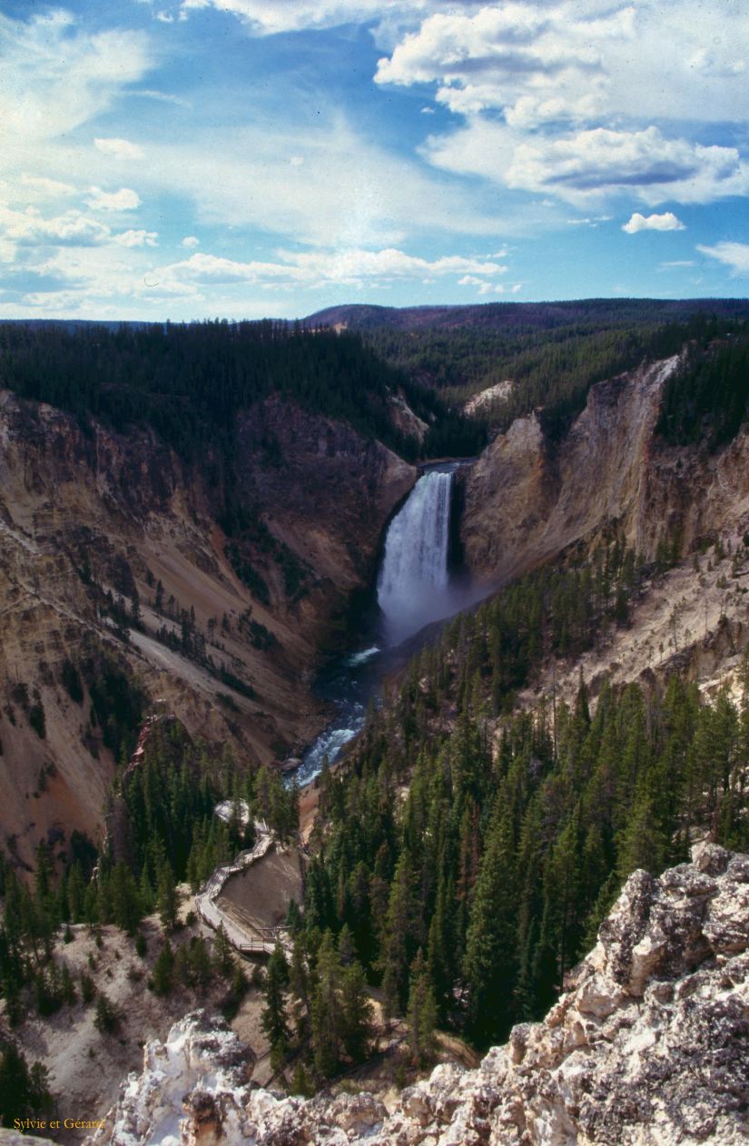 Yellowstone NP Wyoming  USA 1996-090