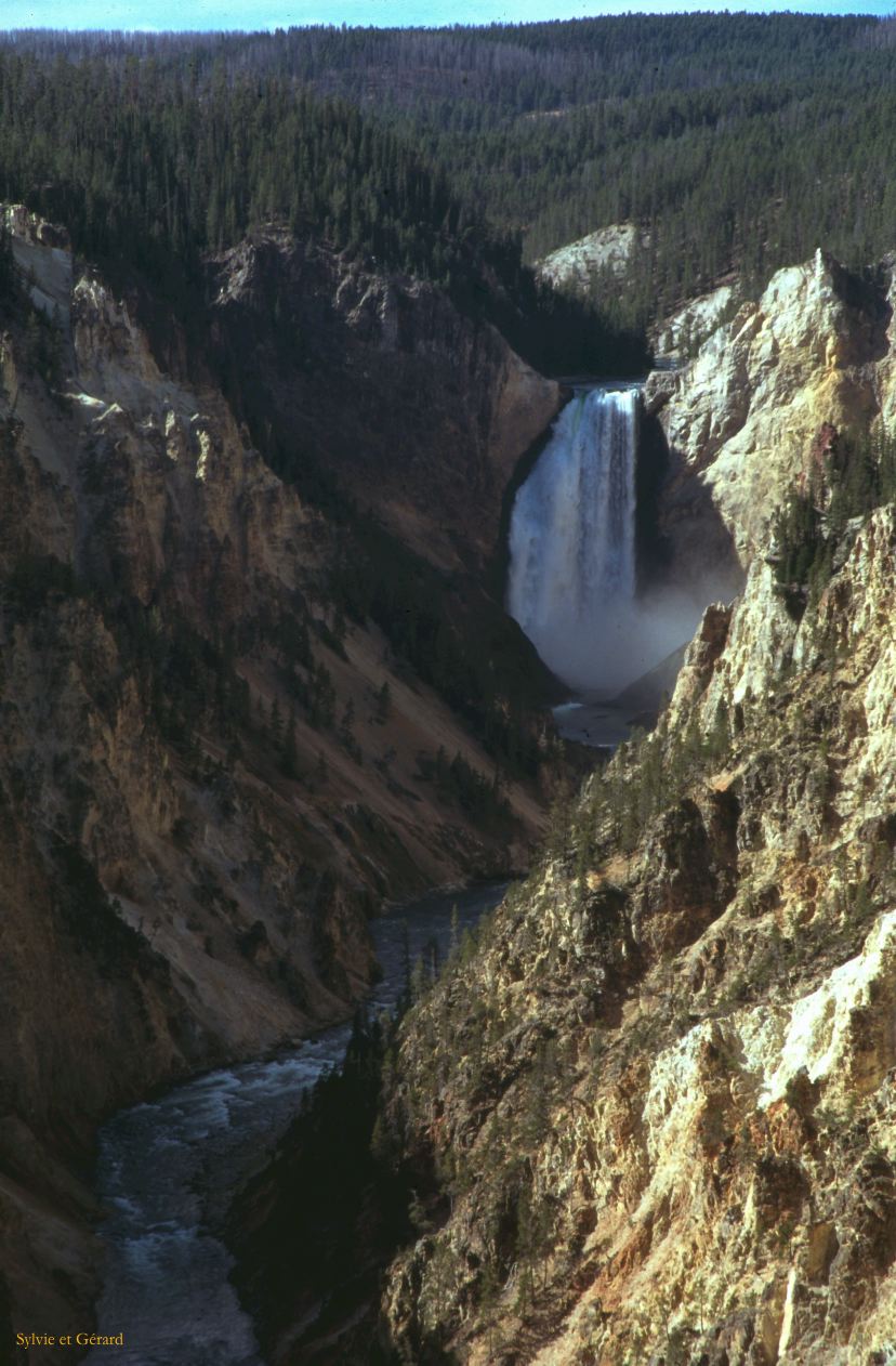 Yellowstone NP Wyoming  USA 1996-091