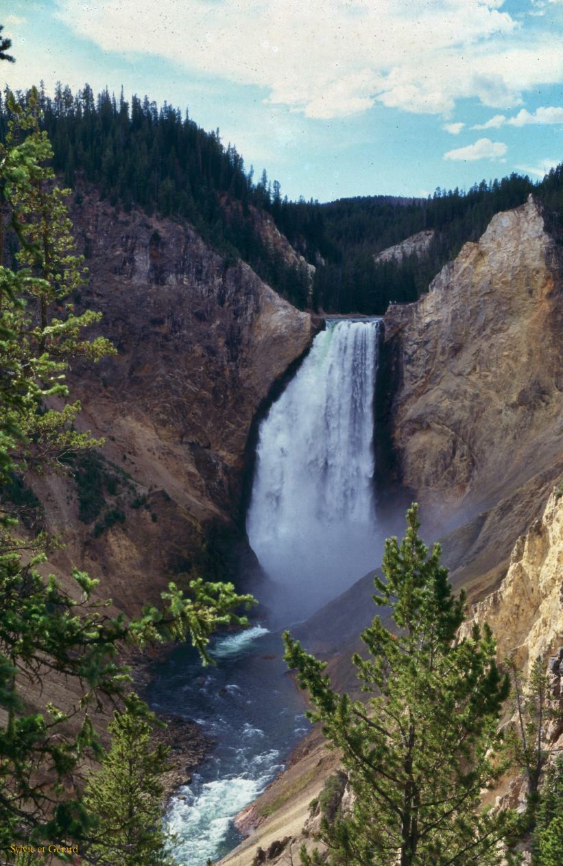 Yellowstone NP Wyoming  USA 1996-092