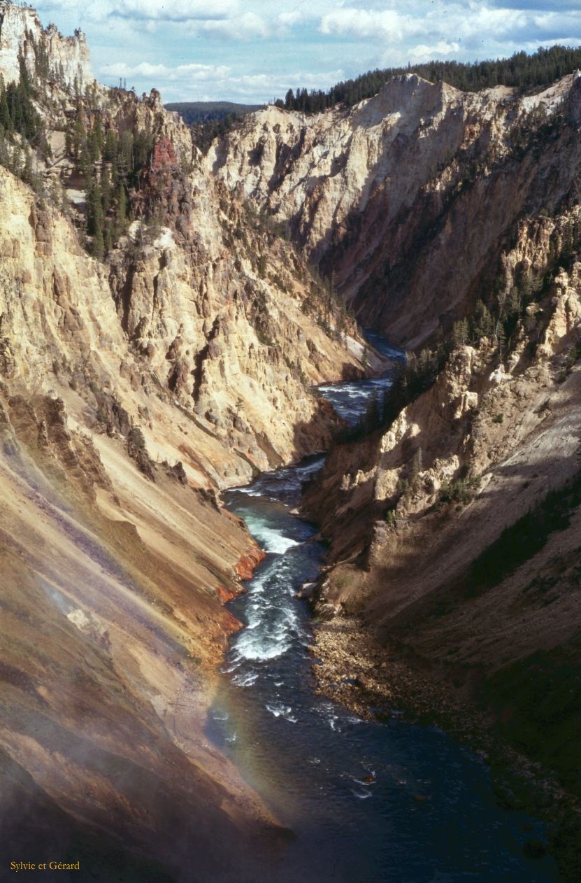 Yellowstone NP Wyoming  USA 1996-093