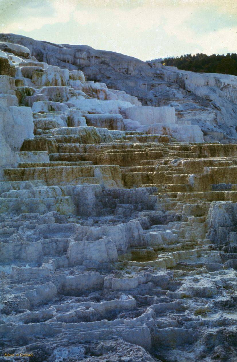 Yellowstone NP Wyoming  USA 1996-104