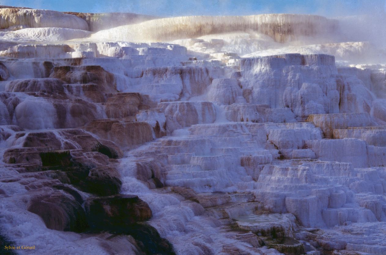 Yellowstone NP Wyoming  USA 1996-109