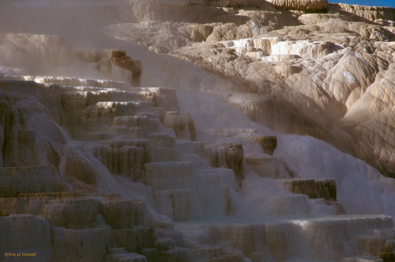 Yellowstone NP Wyoming  USA 1996-111