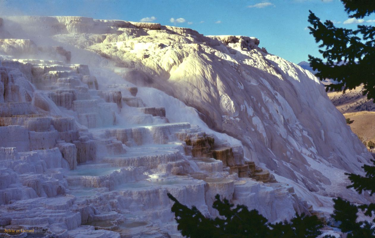 Yellowstone NP Wyoming  USA 1996-113