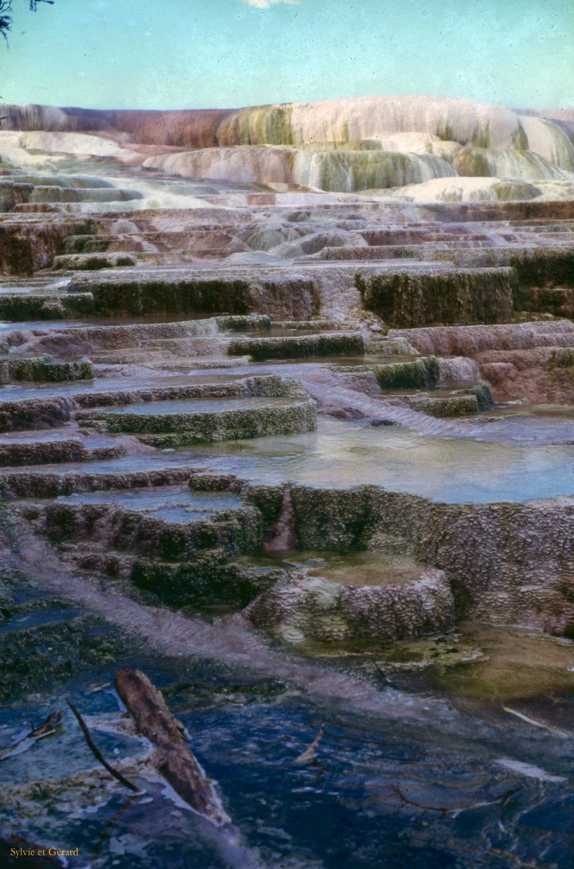 Yellowstone NP Wyoming  USA 1996-114