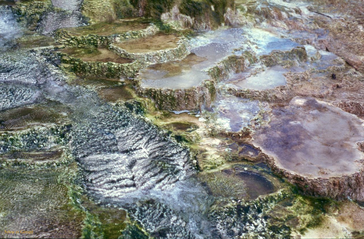 Yellowstone NP Wyoming  USA 1996-115