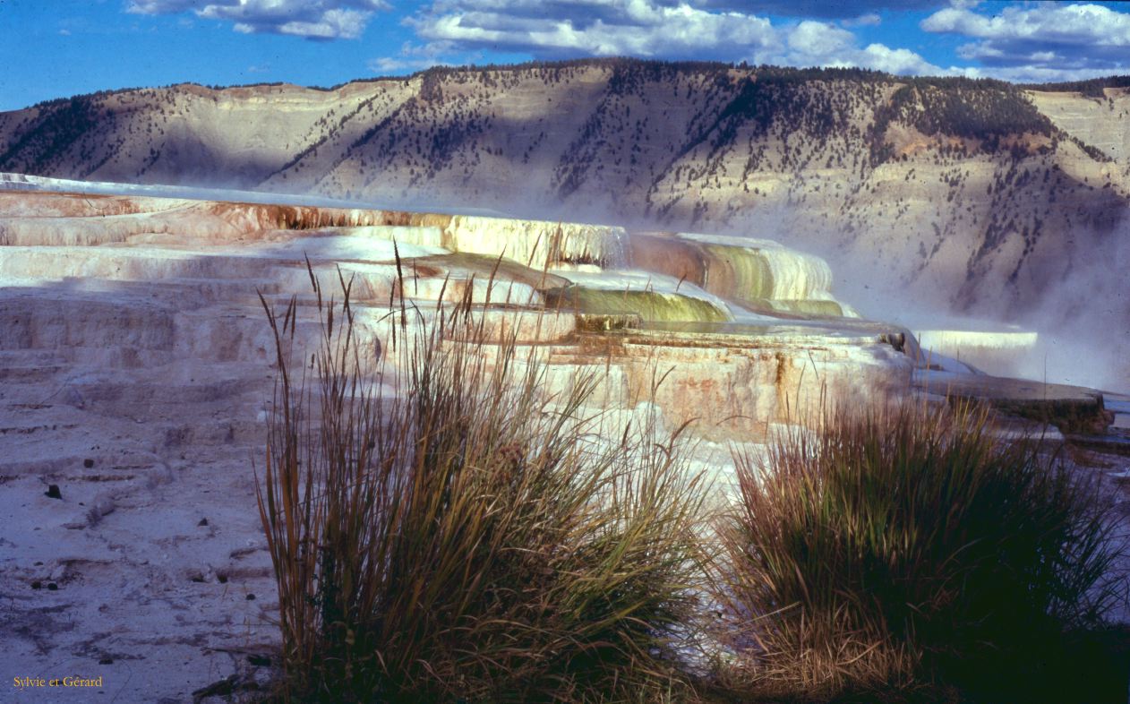 Yellowstone NP Wyoming  USA 1996-117