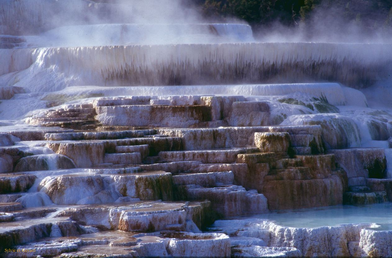 Yellowstone NP Wyoming  USA 1996-118