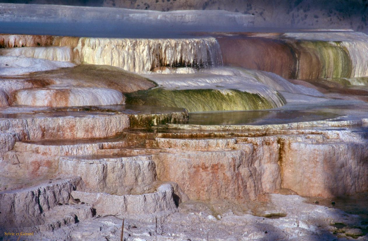 Yellowstone NP Wyoming  USA 1996-119