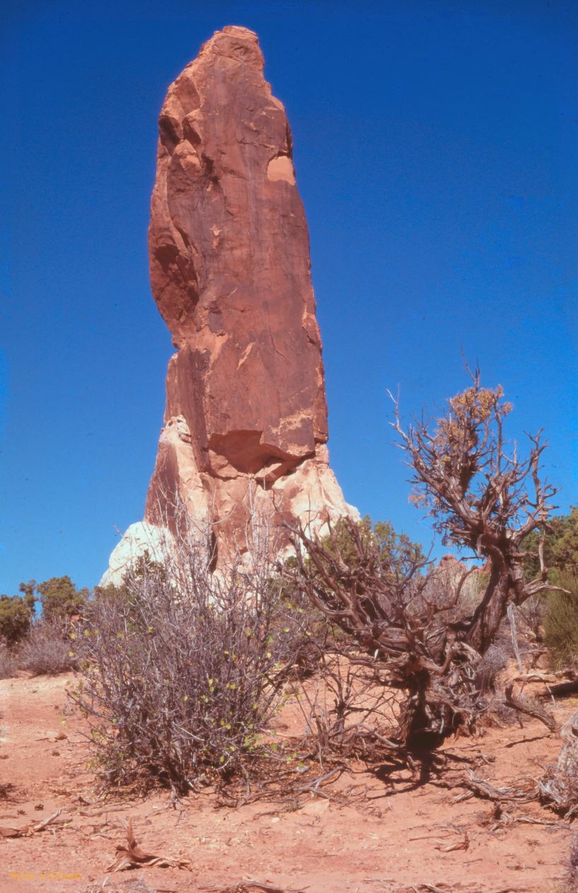 Arches NP Utah USA 1996-168