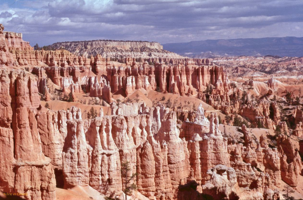 Bryce Canyon NP Utah USA 1996-299