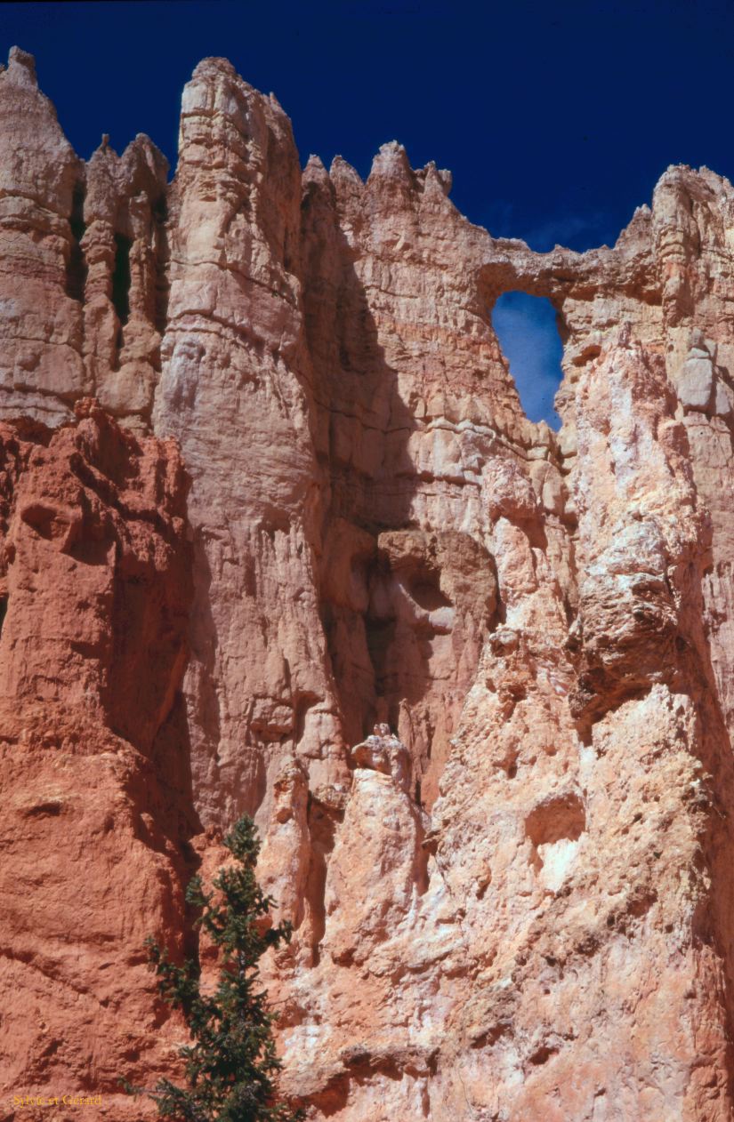 Bryce Canyon NP Utah USA 1996-305