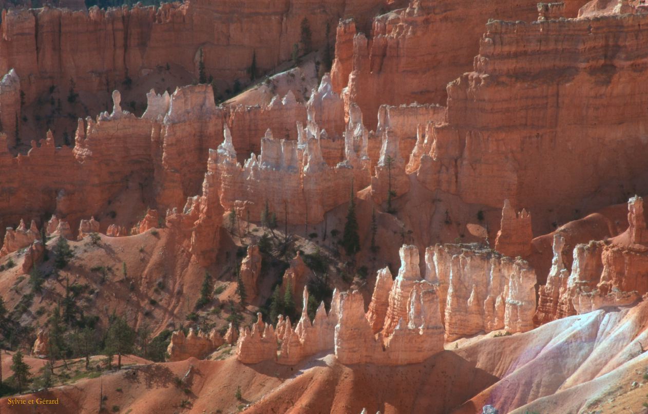 Bryce Canyon NP Utah USA 1996-310