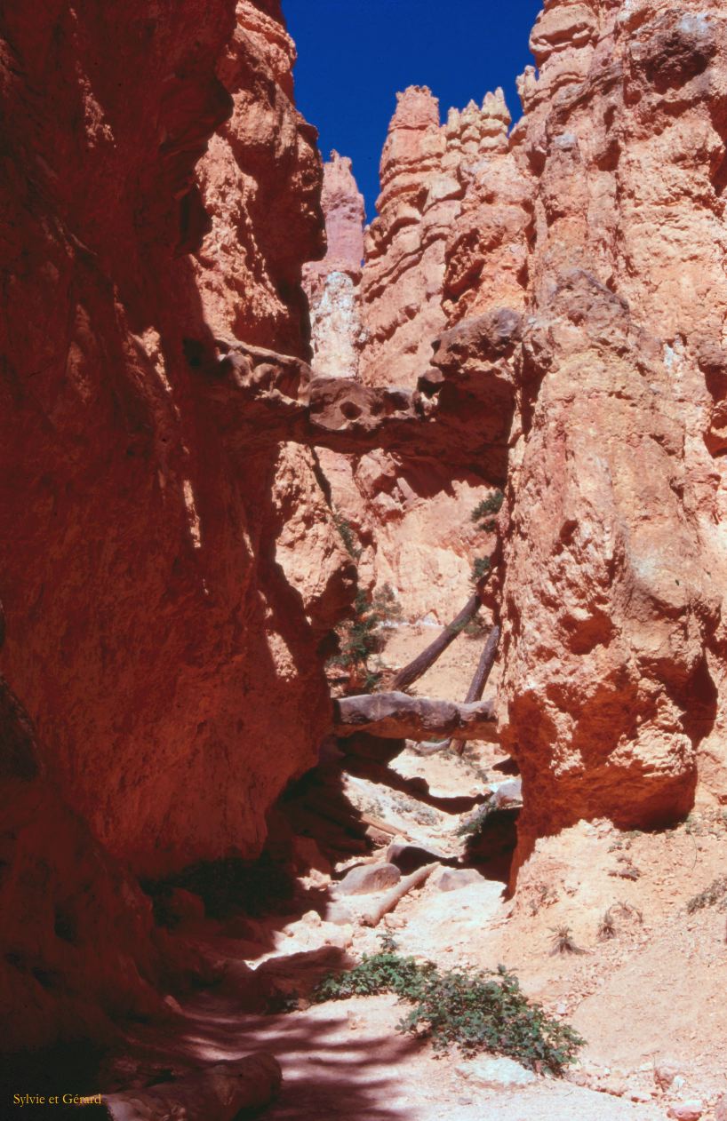 Bryce Canyon NP Utah USA 1996-316