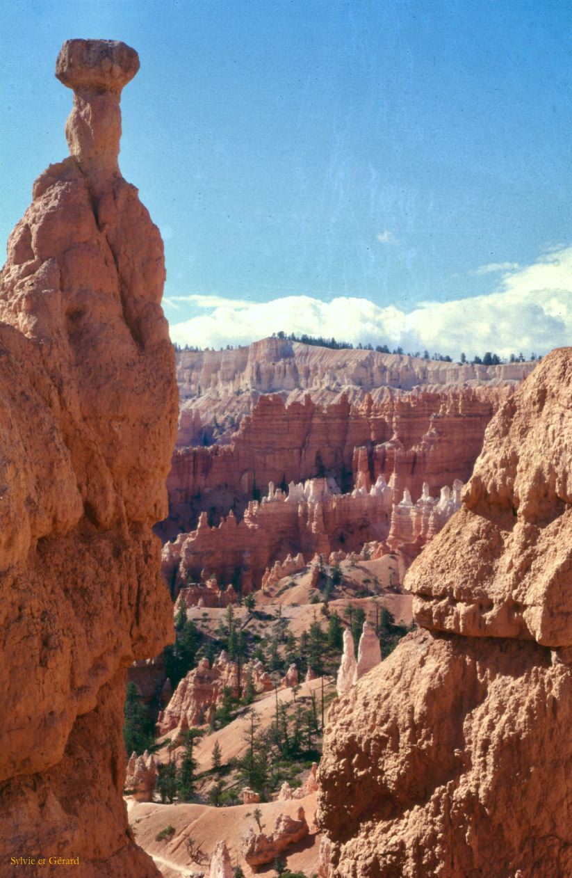 Bryce Canyon NP Utah USA 1996-319