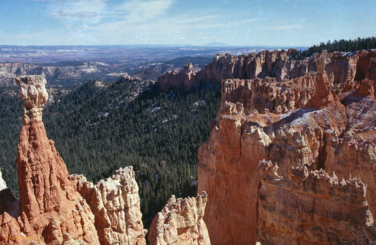 Bryce Canyon NP Utah USA 1996-320