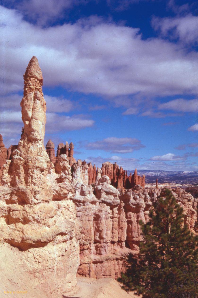 Bryce Canyon NP Utah USA 1996-324