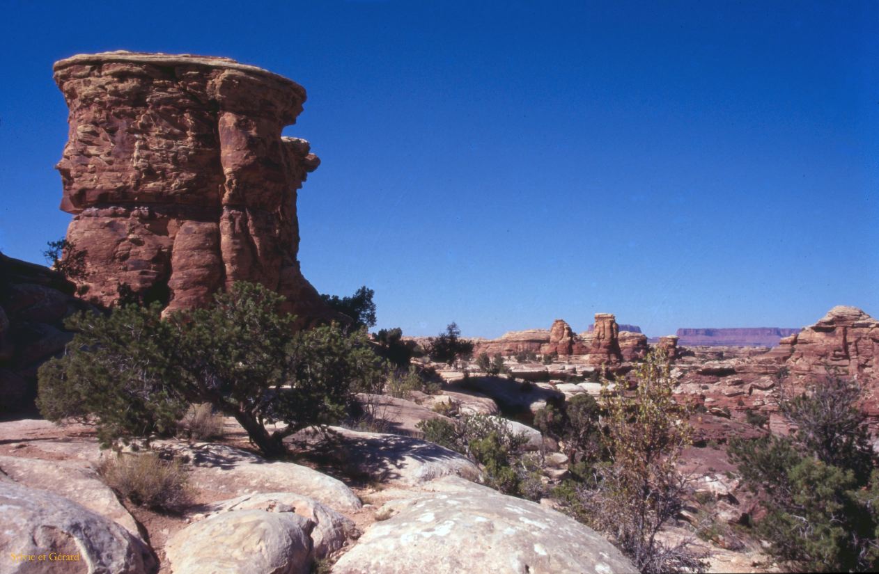 Canyonland NP Utah USA 1996-171