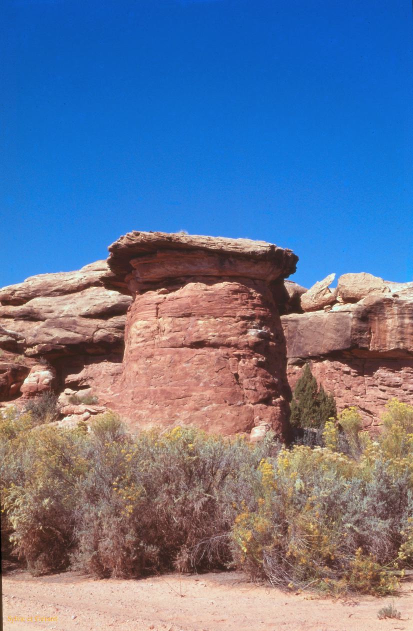 Canyonland NP Utah USA 1996-177