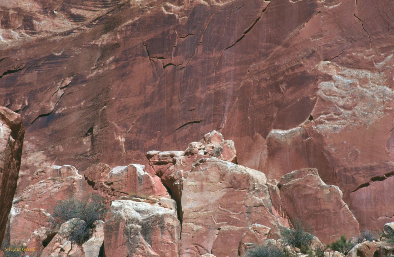 Capitol Reef NP Utah USA 1996-279