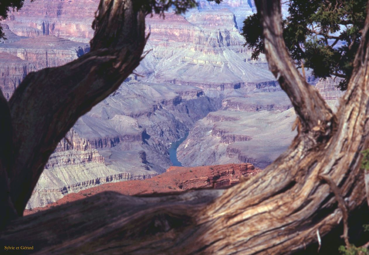Grand Canyon Arizona USA 1996-258