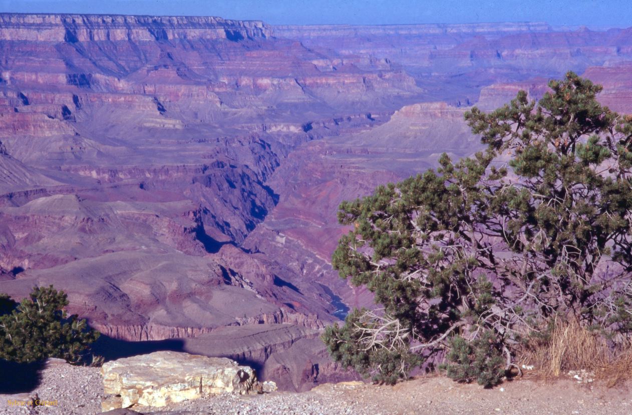 Grand Canyon Arizona USA 1996-267