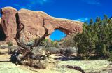 Arches NP Utah USA 1996-144