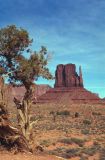 Monument Valley NP Utah-Arizona USA 1996-329