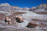 Petrified Forest NP Arizona USA 1996-239