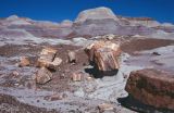 Petrified Forest NP Arizona USA 1996-242