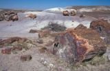 Petrified Forest NP Arizona USA 1996-246