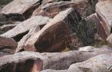 Petrified Forest NP Arizona USA 1996-249