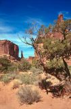 Arches NP Utah USA 1996-124