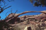 Arches NP Utah USA 1996-157