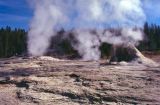 Yellowstone NP Wyoming  USA 1996-054