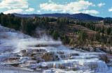 Yellowstone NP Wyoming  USA 1996-123