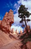 Bryce Canyon NP Utah USA 1996-314