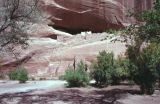 Canyon de Chelly Arizona USA 1996-227