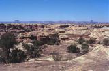 Canyonland NP Utah USA 1996-176