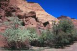 Canyonland NP Utah USA 1996-222