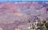 Grand Canyon Arizona USA 1996-264